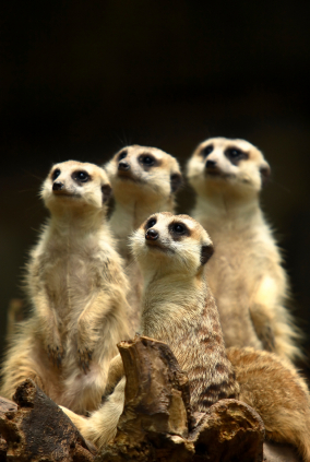 March 2026. So What’s AI Actually Doing?